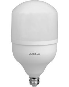 JUST LED JUSTLed-LED Bulb T100 E27 30W 6000K Ψυχρό  B271030013